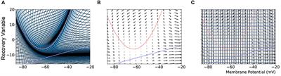 A numerical population density technique for N-dimensional neuron models